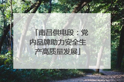 南昌供电段：党内品牌助力安全生产高质量发展