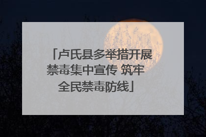 卢氏县多举措开展禁毒集中宣传 筑牢全民禁毒防线