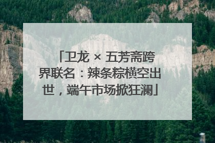 卫龙 × 五芳斋跨界联名：辣条粽横空出世，端午市场掀狂澜