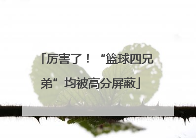 厉害了！“篮球四兄弟”均被高分屏蔽