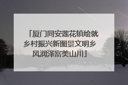厦门同安莲花镇绘就乡村振兴新图景文明乡风润泽富美山川