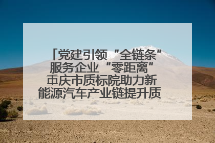 党建引领“全链条” 服务企业“零距离” 重庆市质标院助力新能源汽车产业链提升质量管理水平