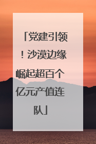 党建引领！沙漠边缘崛起超百个亿元产值连队