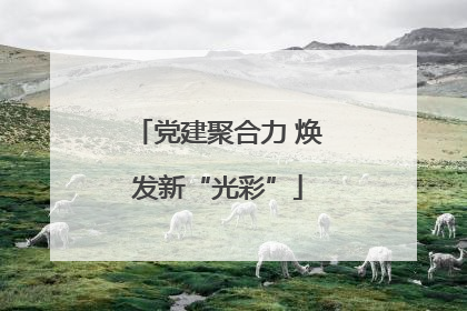 党建聚合力 焕发新“光彩”