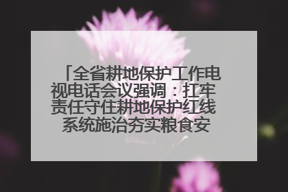 全省耕地保护工作电视电话会议强调：扛牢责任守住耕地保护红线 系统施治夯实粮食安全根基 王宁作出批示 王予波出席并讲话
