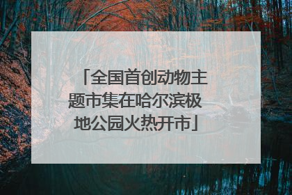 全国首创动物主题市集在哈尔滨极地公园火热开市