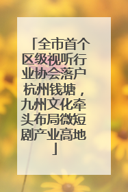 全市首个区级视听行业协会落户杭州钱塘，九州文化牵头布局微短剧产业高地