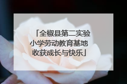 全椒县第二实验小学劳动教育基地收获成长与快乐