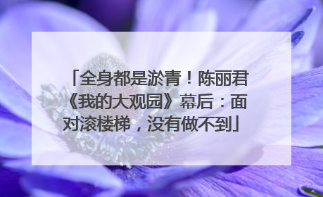 全身都是淤青！陈丽君《我的大观园》幕后：面对滚楼梯，没有做不到