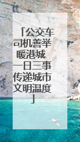 公交车司机善举暖港城 一日三事传递城市文明温度