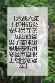 六战六捷！忻州市公安局勇夺第二届山西省男子篮球超级联赛忻州赛区市直职工组比赛冠军