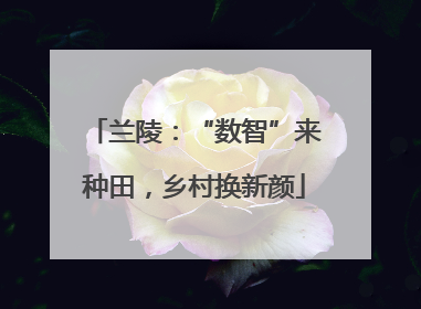 兰陵：“数智”来种田，乡村换新颜