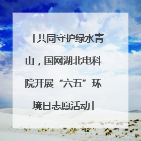 共同守护绿水青山，国网湖北电科院开展“六五”环境日志愿活动