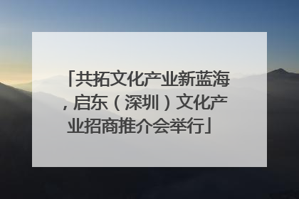 共拓文化产业新蓝海，启东（深圳）文化产业招商推介会举行