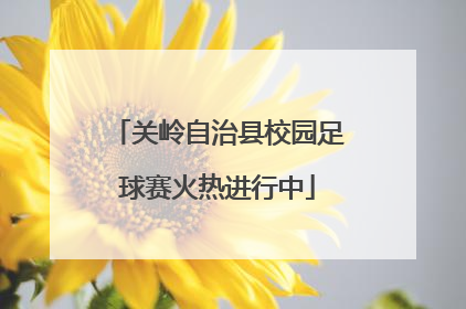 关岭自治县校园足球赛火热进行中