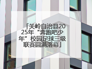 关岭自治县2025年“奔跑吧少年”校园足球三级联赛圆满落幕
