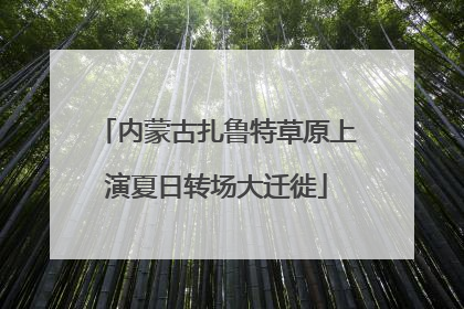 内蒙古扎鲁特草原上演夏日转场大迁徙