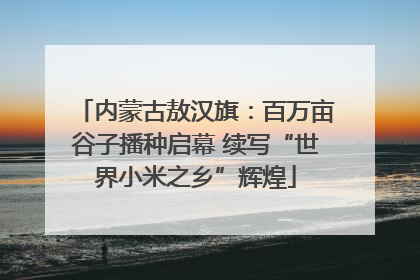 内蒙古敖汉旗：百万亩谷子播种启幕 续写“世界小米之乡”辉煌
