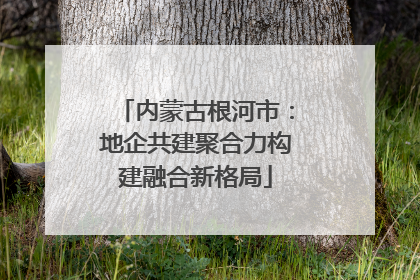 内蒙古根河市：地企共建聚合力构建融合新格局