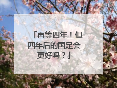 再等四年！但四年后的国足会更好吗？