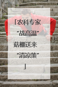 农科专家“战高温” 菇棚送来“清凉策”
