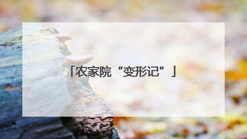 农家院“变形记”