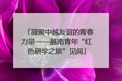 凝聚中越友谊的青春力量——越南青年“红色研学之旅”见闻