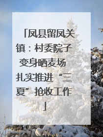 凤县留凤关镇：村委院子变身晒麦场 扎实推进“三夏”抢收工作