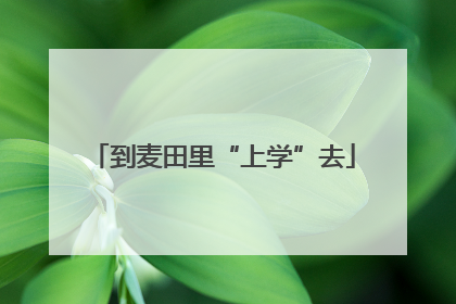 到麦田里“上学”去