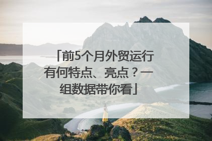 前5个月外贸运行有何特点、亮点？一组数据带你看