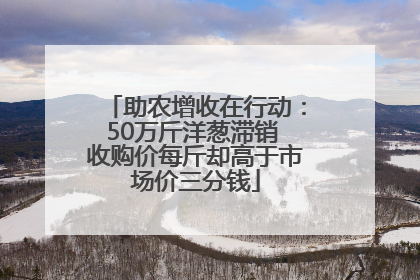 助农增收在行动：50万斤洋葱滞销 收购价每斤却高于市场价三分钱