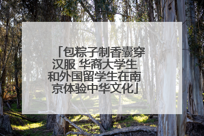 包粽子制香囊穿汉服 华裔大学生和外国留学生在南京体验中华文化