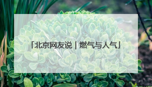 北京网友说｜燃气与人气