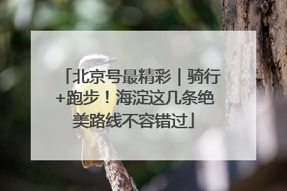 北京号最精彩｜骑行+跑步！海淀这几条绝美路线不容错过