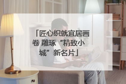 匠心织就宜居画卷 雕琢“精致小城”新名片