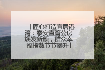 匠心打造宜居港湾：泰安直管公房焕发新颜，群众幸福指数节节攀升