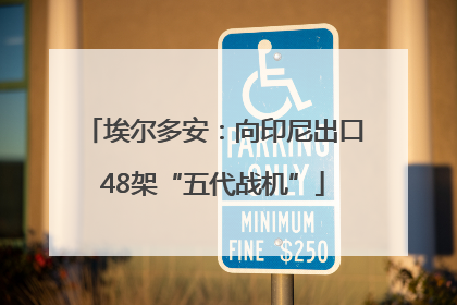 埃尔多安：向印尼出口48架“五代战机”