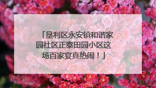 垦利区永安镇和谐家园社区正泰田园小区这场百家宴真热闹！