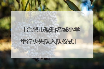 合肥市琥珀名城小学举行少先队入队仪式