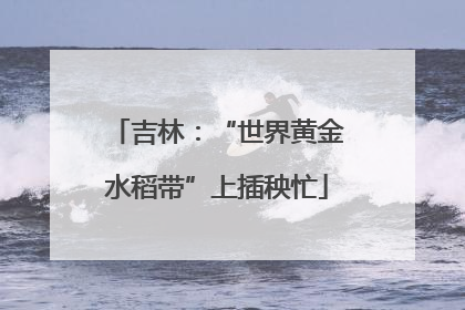 吉林：“世界黄金水稻带”上插秧忙