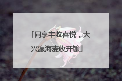 同享丰收喜悦，大兴瀛海麦收开镰