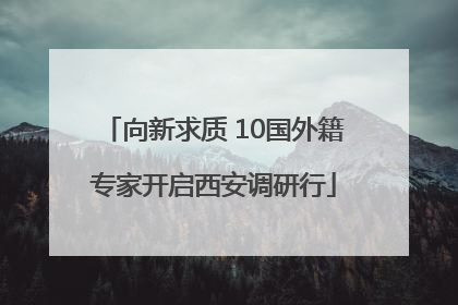 向新求质 10国外籍专家开启西安调研行