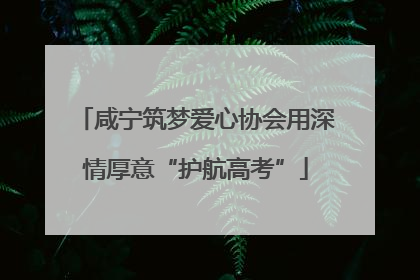 咸宁筑梦爱心协会用深情厚意“护航高考”