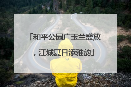 和平公园广玉兰盛放，江城夏日添雅韵