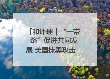 和评理｜“一带一路”促进共同发展 美国抹黑攻击酸味十足