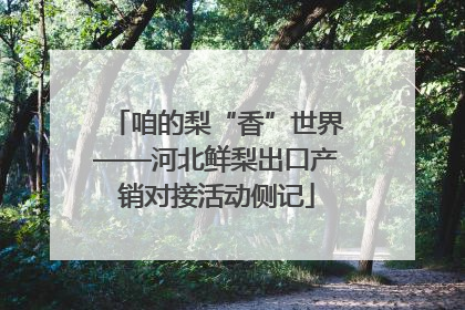 咱的梨“香”世界——河北鲜梨出口产销对接活动侧记