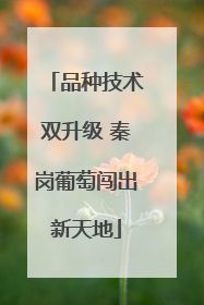 品种技术双升级 秦岗葡萄闯出新天地
