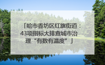 哈市香坊区红旗街道：43项指标大排查城市治理“有数有温度”