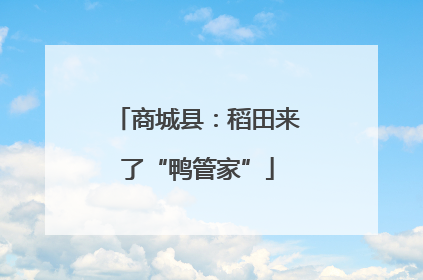 商城县：稻田来了“鸭管家”
