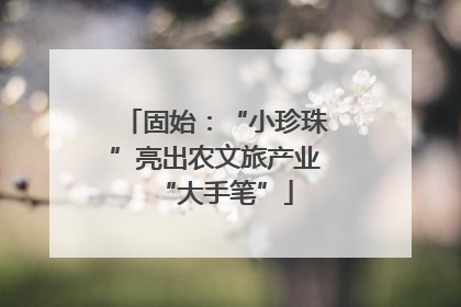 固始：“小珍珠”亮出农文旅产业“大手笔”